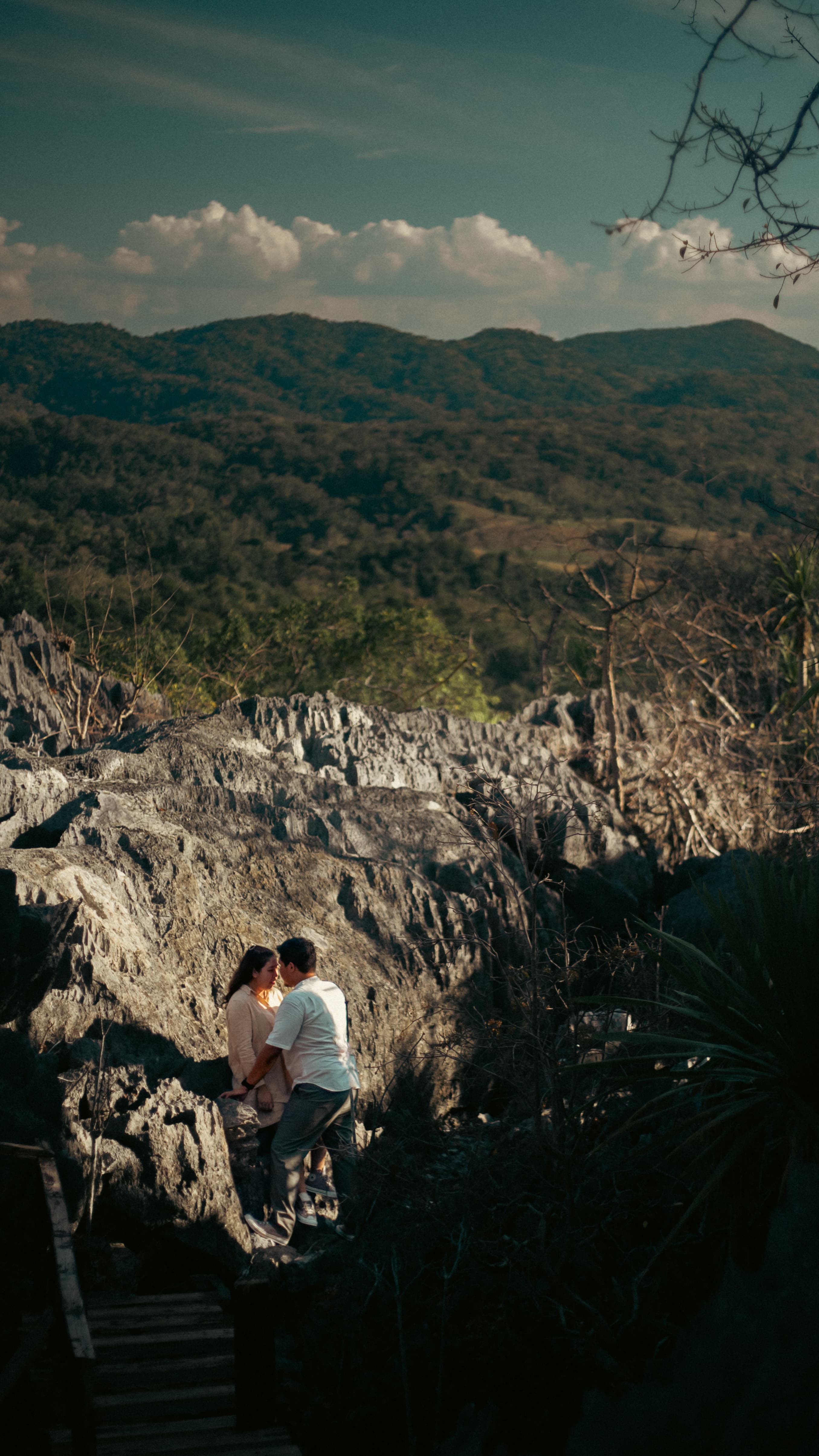 Wedding photo 25